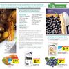 WebSaver.ca: Save $1.50 on Purchases of Two or More Maple Leaf Foods, Prime or Dempster's Products - Toronto Deal