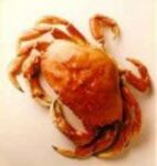 The Boathouse Restaurant: Crab Fest 3-Course Dinner $34.99 + $10 Off Coupon, Expires Sept. 30 (GVRD)