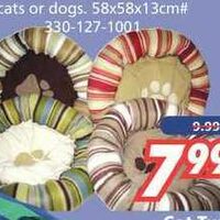 Winter Jackets & Insulated Pants - 50% off