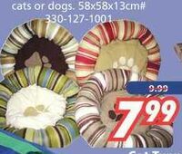 Winter Jackets & Insulated Pants - 50% off