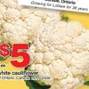 DFSDirect.ca: 20% Off $300+