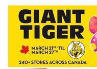 Giant Tiger Flyer