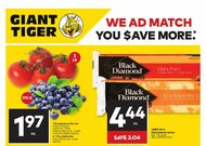 Giant Tiger Flyer