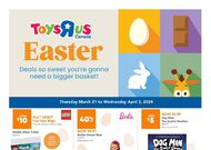 Toys R Us Flyer